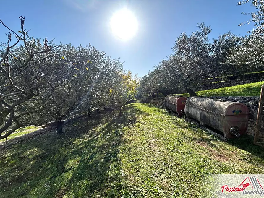 Immagine 1 di Terreno agricolo in vendita  in Strada Del Borago a Verona