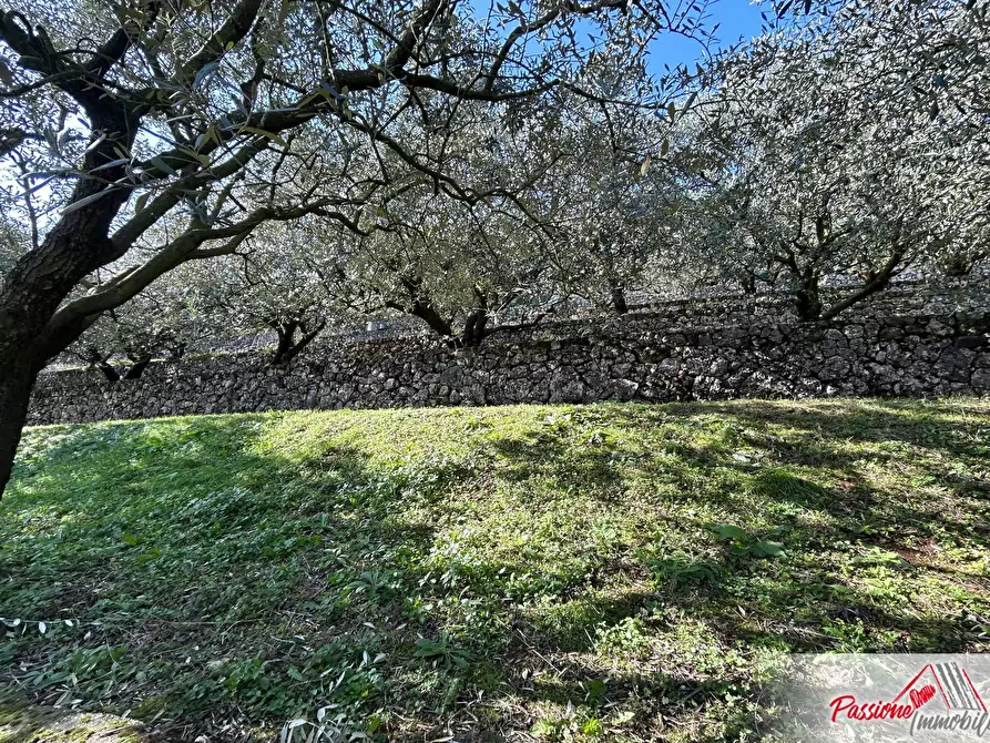 Immagine 3 di Terreno agricolo in vendita  in Strada Del Borago a Verona