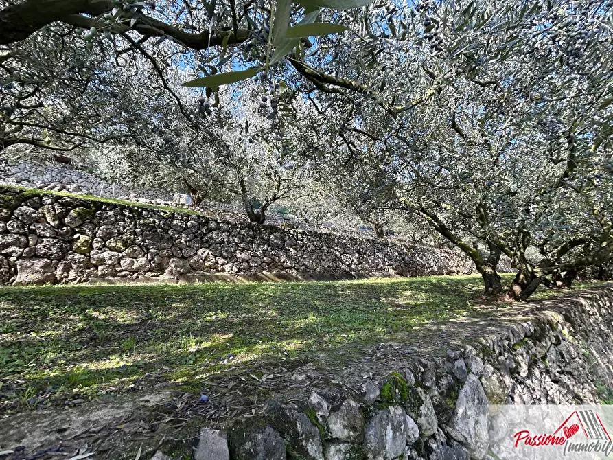 Immagine 4 di Terreno agricolo in vendita  in Strada Del Borago a Verona