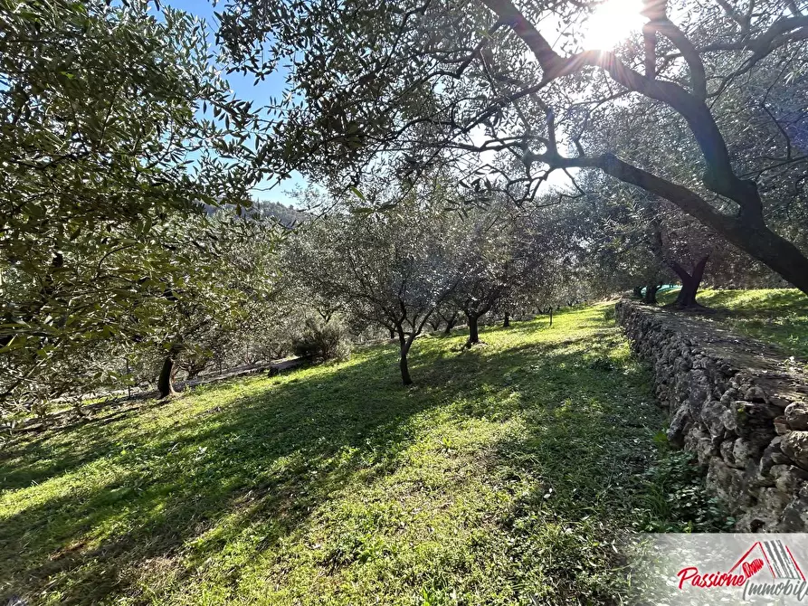 Immagine 6 di Terreno agricolo in vendita  in Strada Del Borago a Verona