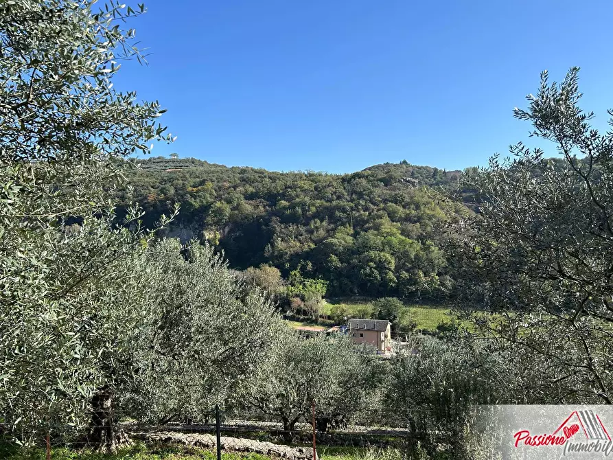 Immagine 7 di Terreno agricolo in vendita  in Strada Del Borago a Verona