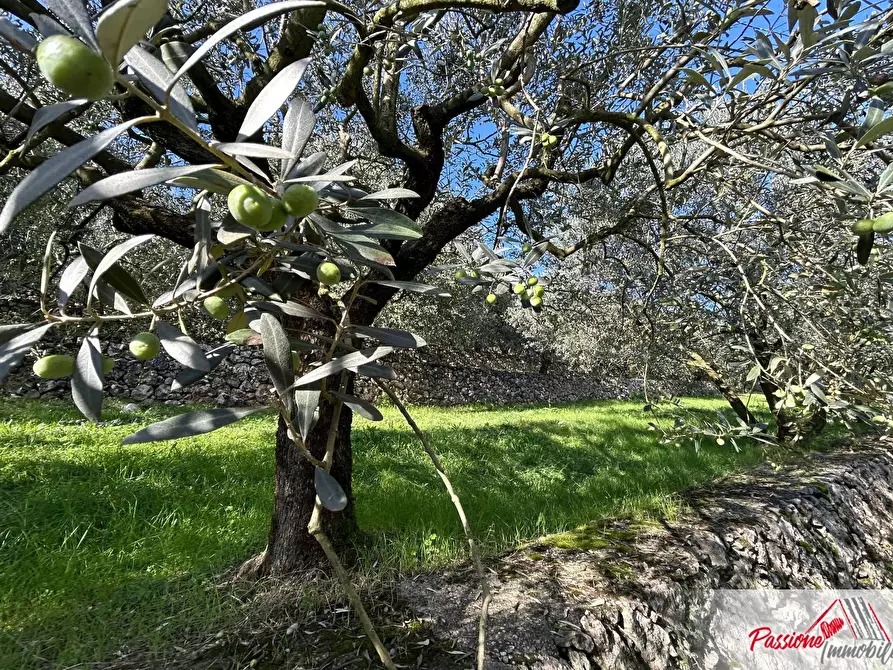 Immagine 8 di Terreno agricolo in vendita  in Strada Del Borago a Verona