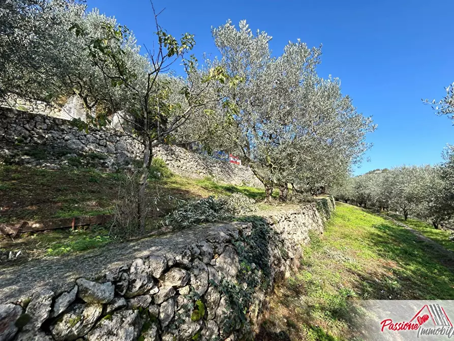 Immagine 9 di Terreno agricolo in vendita  in Strada Del Borago a Verona