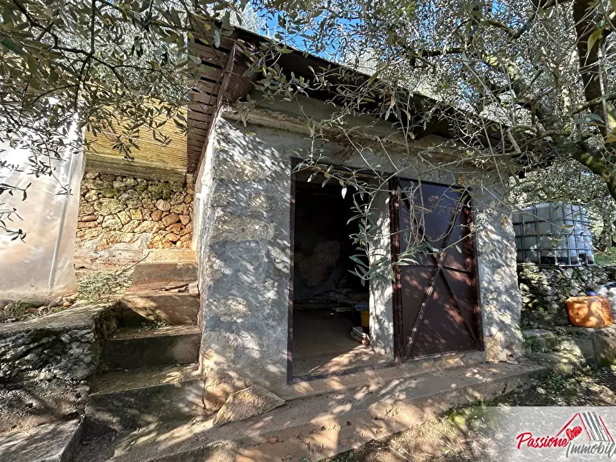 Immagine 10 di Terreno agricolo in vendita  in Strada Del Borago a Verona