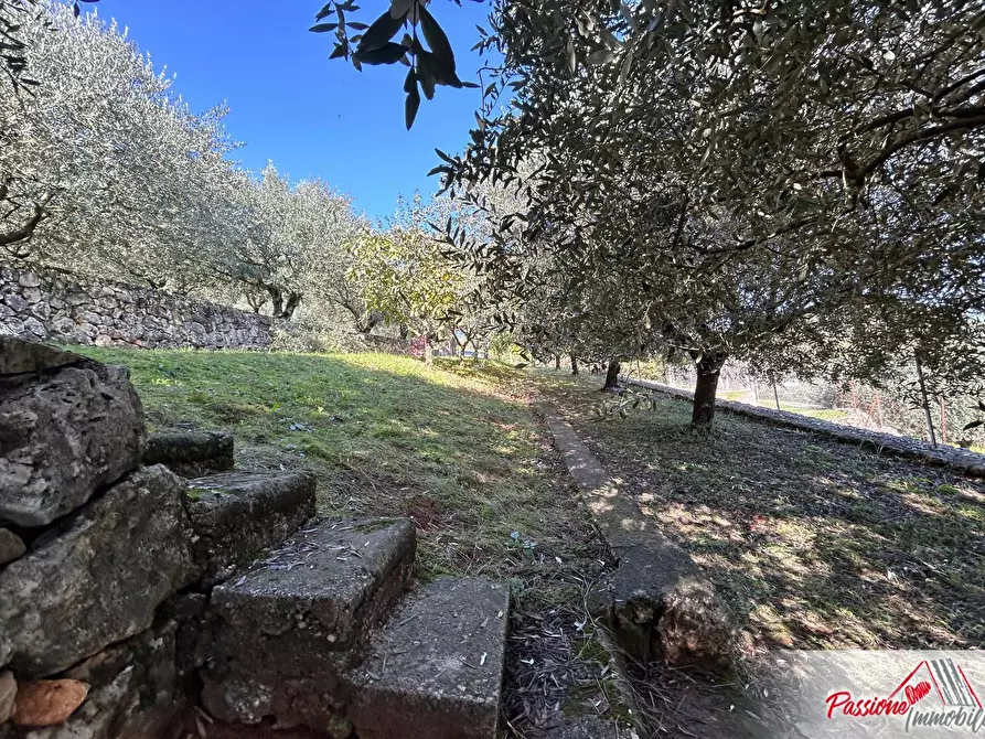 Immagine 12 di Terreno agricolo in vendita  in Strada Del Borago a Verona