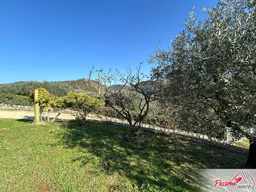 Immagine 14 di Terreno agricolo in vendita  in Strada Del Borago a Verona