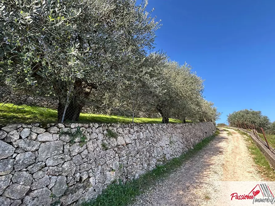 Immagine 15 di Terreno agricolo in vendita  in Strada Del Borago a Verona