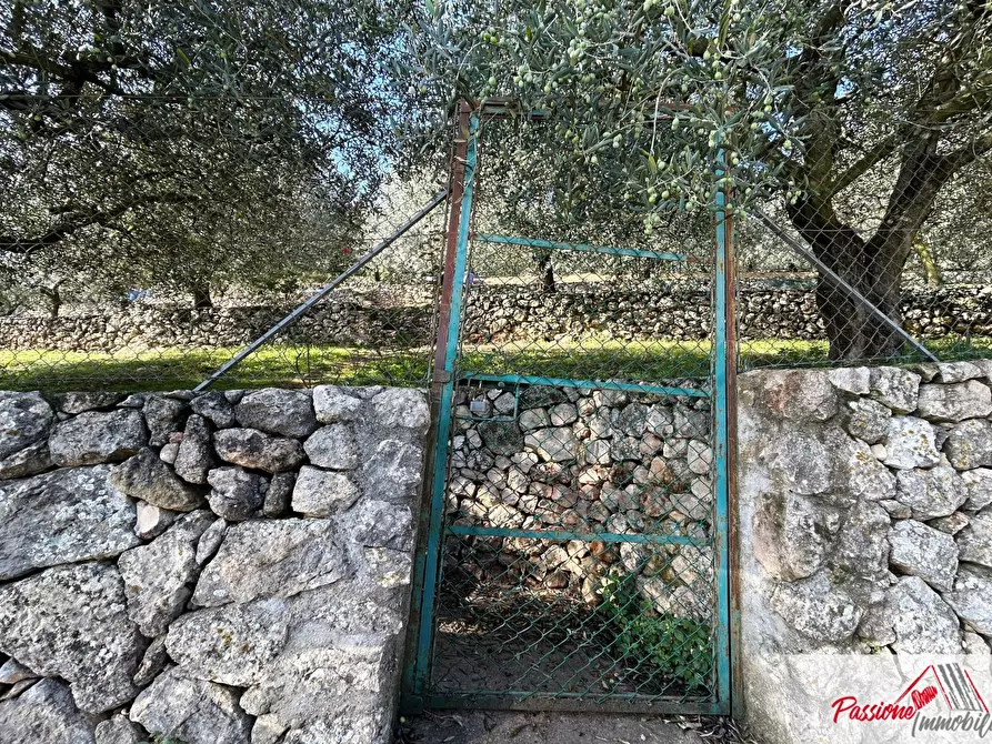 Immagine 16 di Terreno agricolo in vendita  in Strada Del Borago a Verona