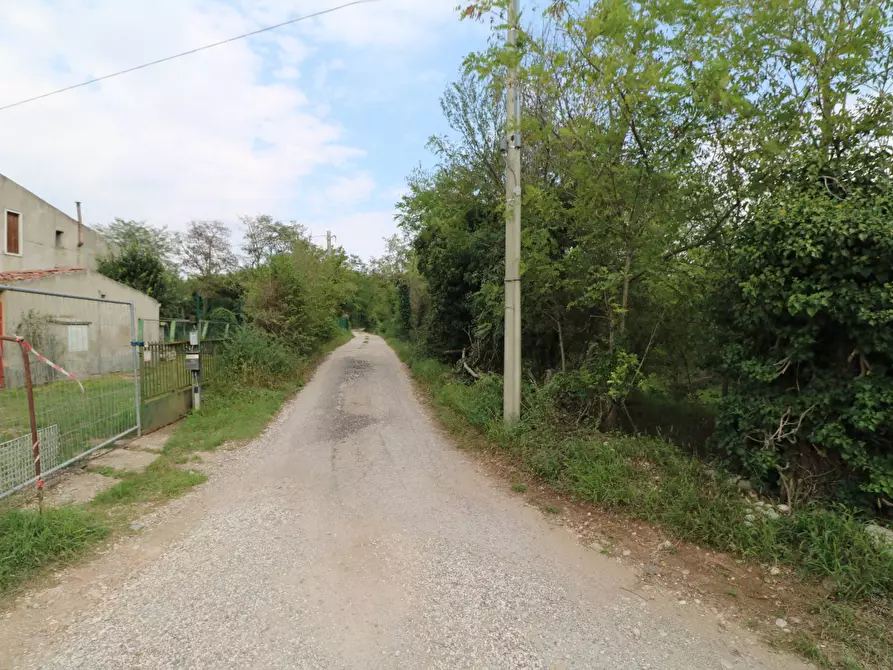 Immagine 2 di Terreno agricolo in vendita  in Via Della Diga a Verona