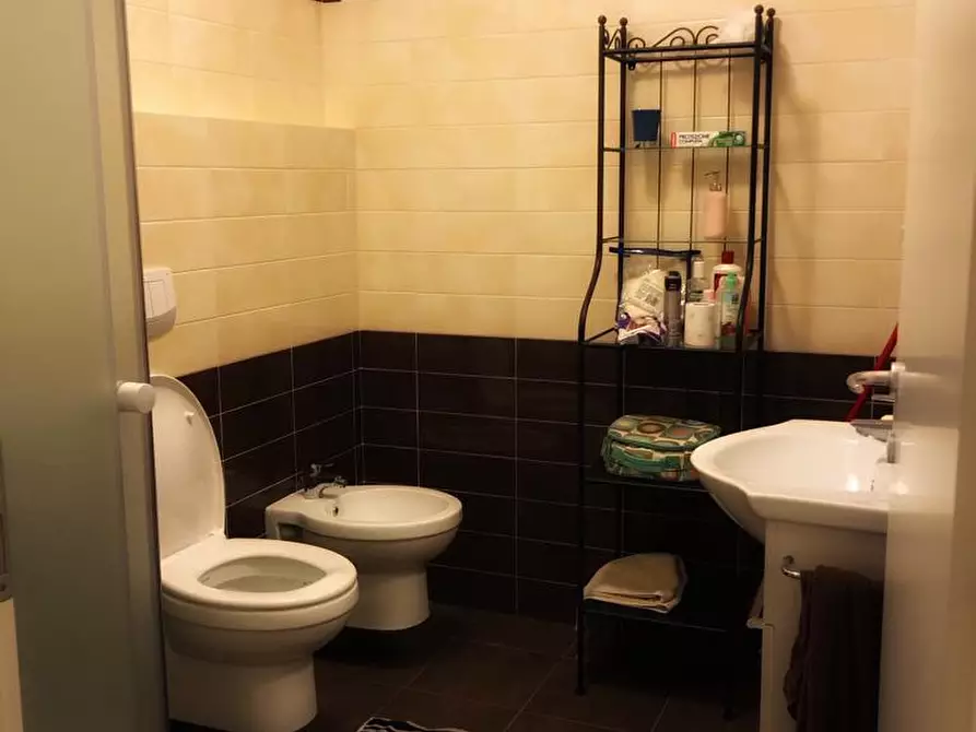 Immagine 11 di Appartamento in affitto  a Pisa