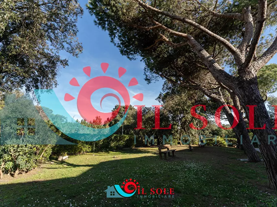 Immagine 21 di Appartamento in affitto  a Pisa