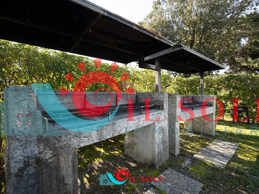 Immagine 24 di Appartamento in affitto  a Pisa