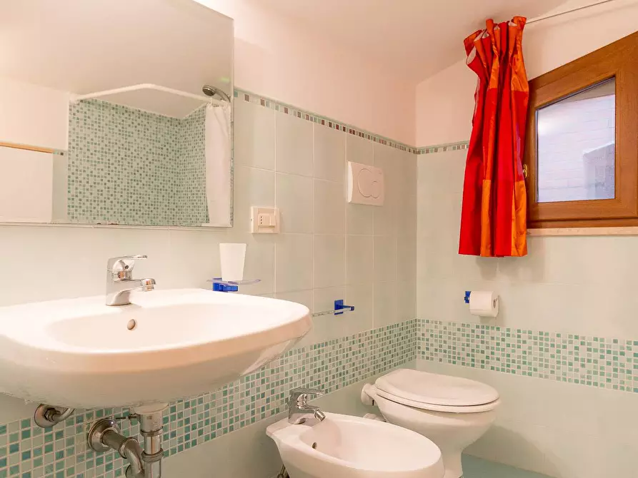 Immagine 21 di Appartamento in affitto  a Pisa