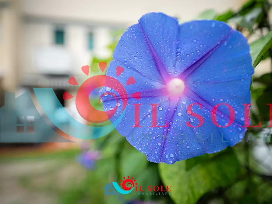 Immagine 29 di Appartamento in affitto  a Pisa