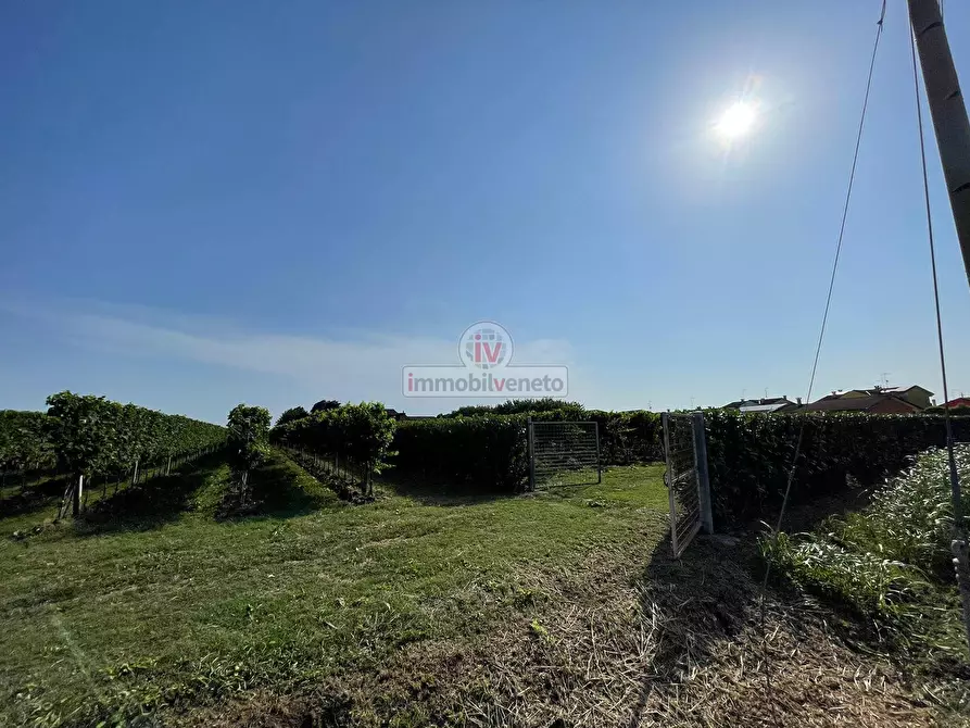 Immagine 22 di Rustico / casale in vendita  in VIA SAN SEBASTIANO a Cologna Veneta