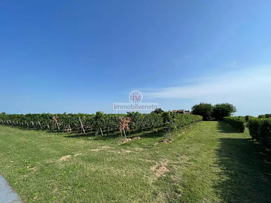 Immagine 23 di Rustico / casale in vendita  in VIA SAN SEBASTIANO a Cologna Veneta