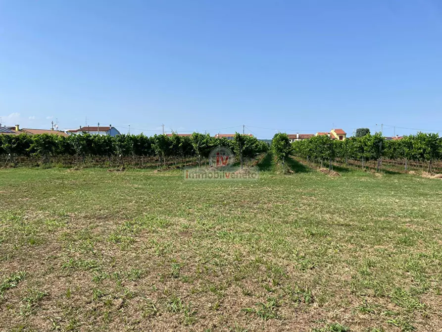 Immagine 24 di Rustico / casale in vendita  in VIA SAN SEBASTIANO a Cologna Veneta