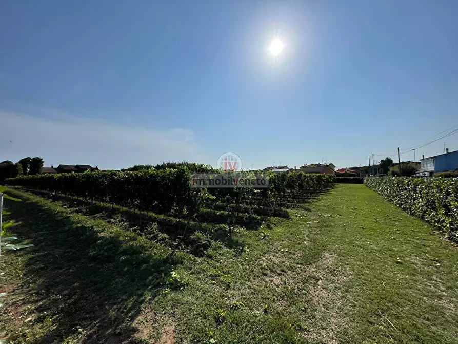 Immagine 25 di Rustico / casale in vendita  in VIA SAN SEBASTIANO a Cologna Veneta