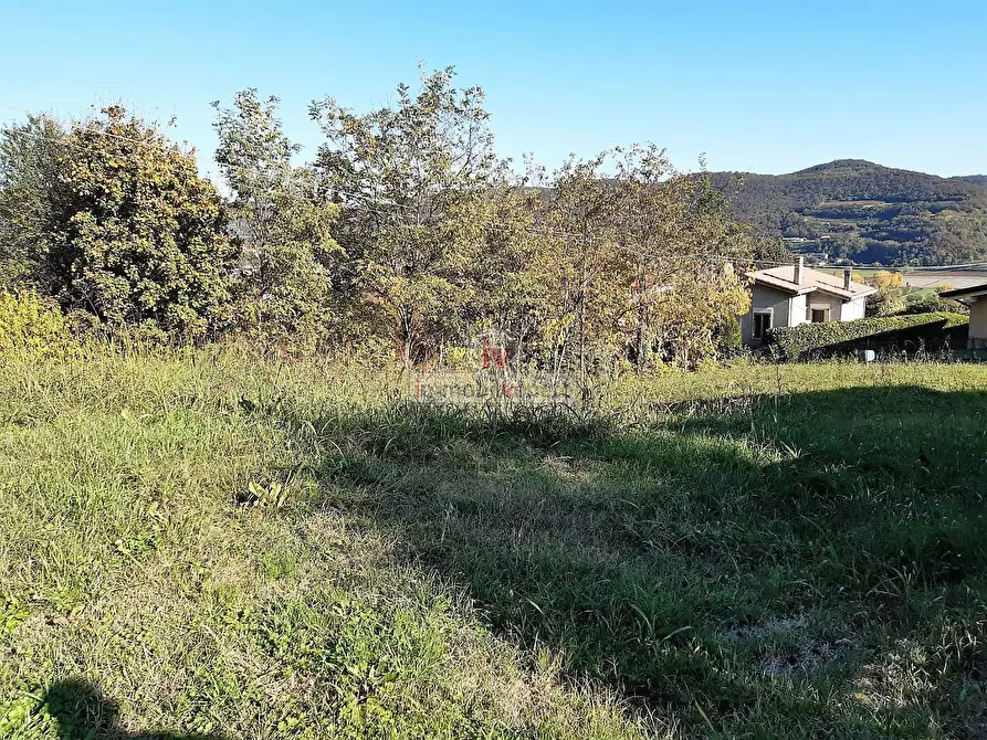 Immagine 3 di Terreno residenziale in vendita  in VIA CHIESA a Val Liona