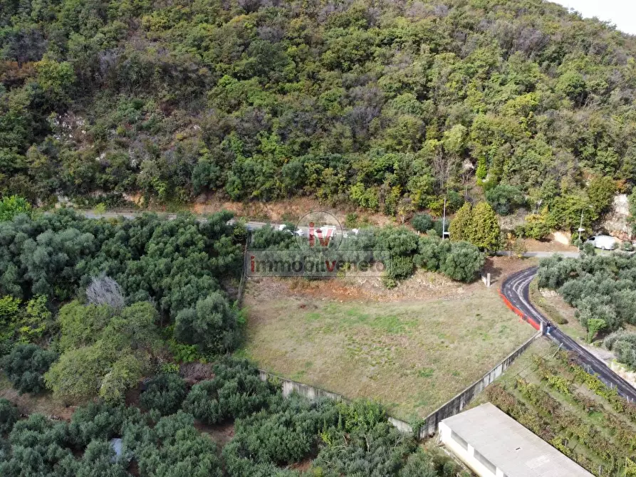 Immagine 7 di Terreno residenziale in vendita  in VIA ROMA a Val Liona