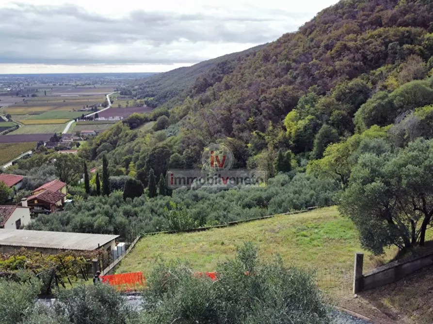 Immagine 13 di Terreno residenziale in vendita  in VIA ROMA a Val Liona