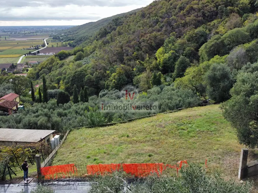 Immagine 15 di Terreno residenziale in vendita  in VIA ROMA a Val Liona