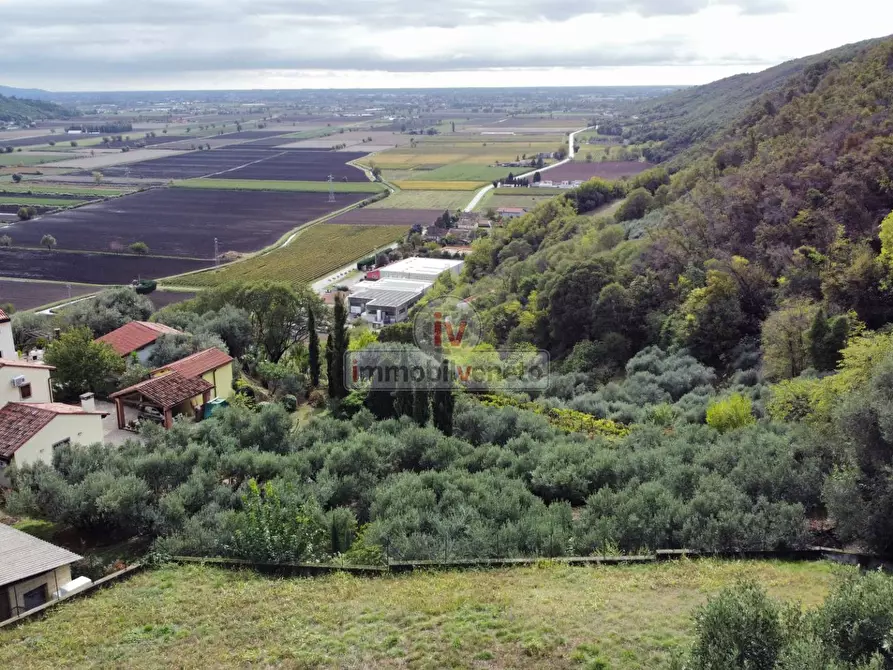 Immagine 17 di Terreno residenziale in vendita  in VIA ROMA a Val Liona