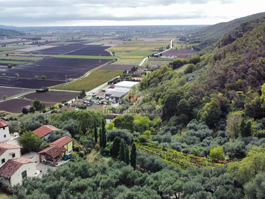 Immagine 18 di Terreno residenziale in vendita  in VIA ROMA a Val Liona