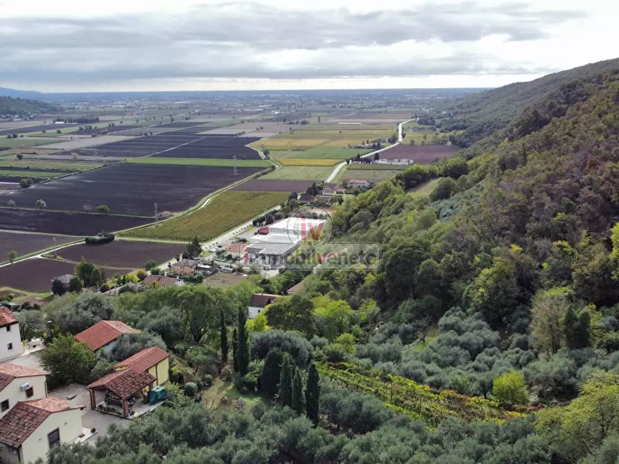 Immagine 19 di Terreno residenziale in vendita  in VIA ROMA a Val Liona