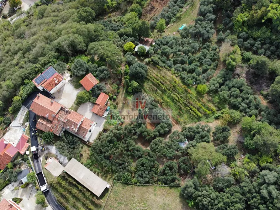 Immagine 20 di Terreno residenziale in vendita  in VIA ROMA a Val Liona