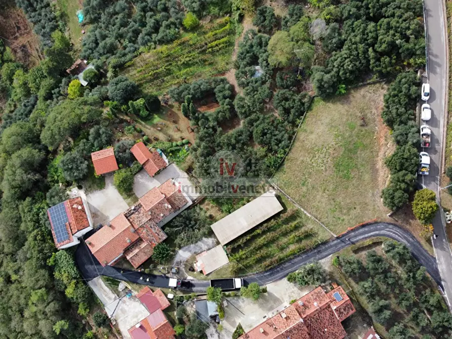 Immagine 21 di Terreno residenziale in vendita  in VIA ROMA a Val Liona