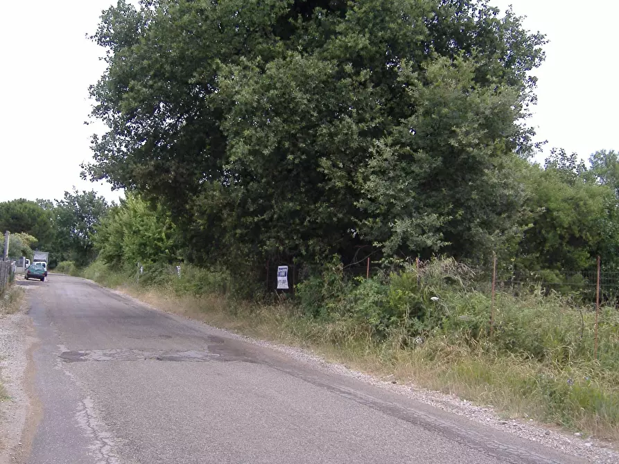 Immagine 5 di Rustico / casale in vendita  in via San Rocco a Vasto