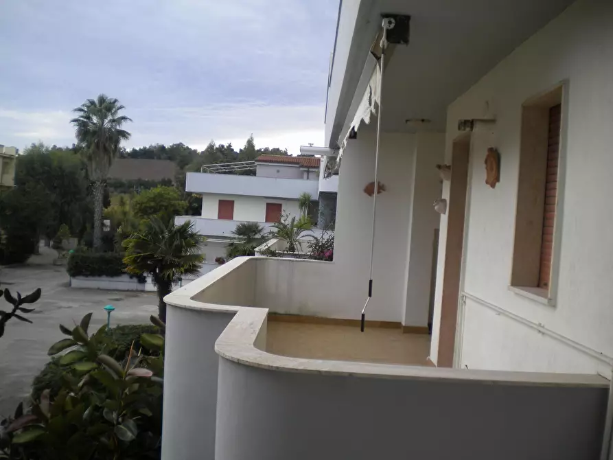 Immagine 13 di Appartamento in vendita  in SS 16 SUD a Vasto