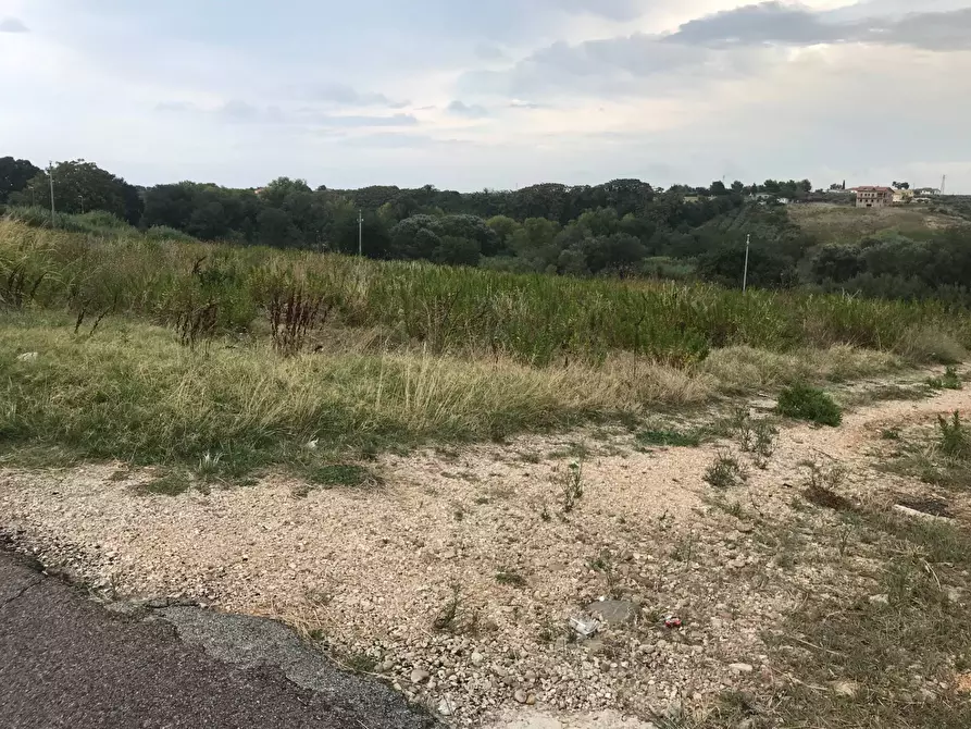 Immagine 2 di Terreno agricolo in vendita  in CONTRADA LEBBA a Vasto