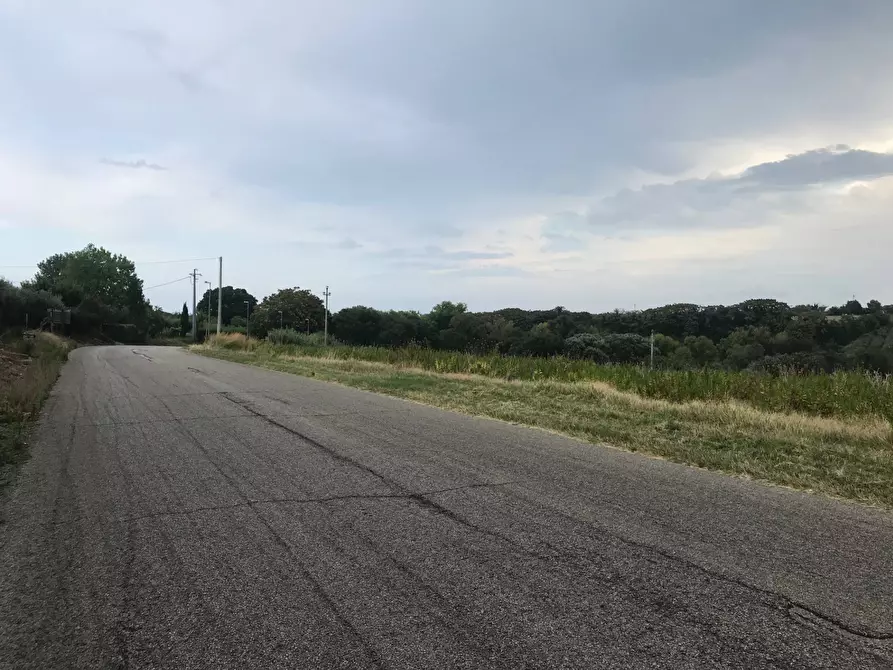 Immagine 4 di Terreno agricolo in vendita  in CONTRADA LEBBA a Vasto