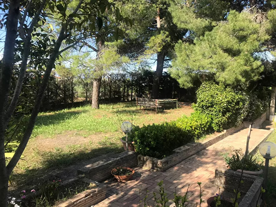 Immagine 17 di Villa in vendita  in Via Luci a Vasto