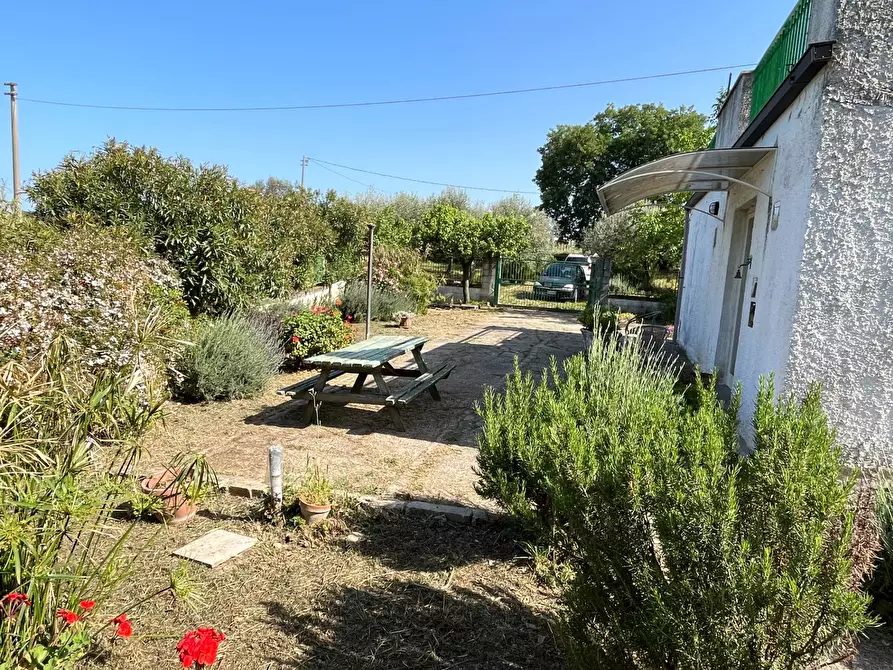 Immagine 30 di Casa indipendente in vendita  in VIA MACCHIONE a Vasto