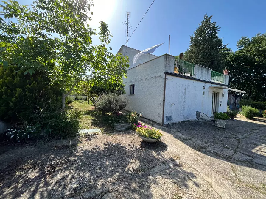 Immagine 4 di Casa indipendente in vendita  in VIA MACCHIONE a Vasto