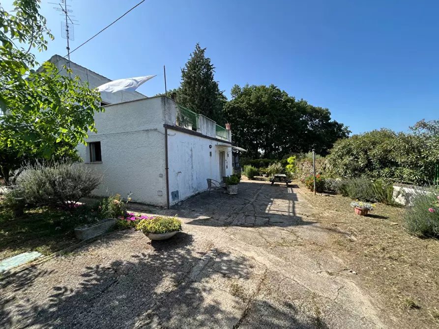 Immagine 5 di Casa indipendente in vendita  in VIA MACCHIONE a Vasto