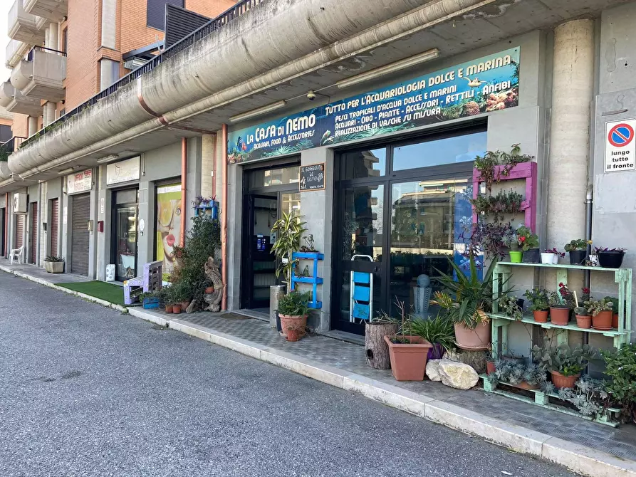 Immagine 3 di Locale commerciale in vendita  in SS 16 a Vasto