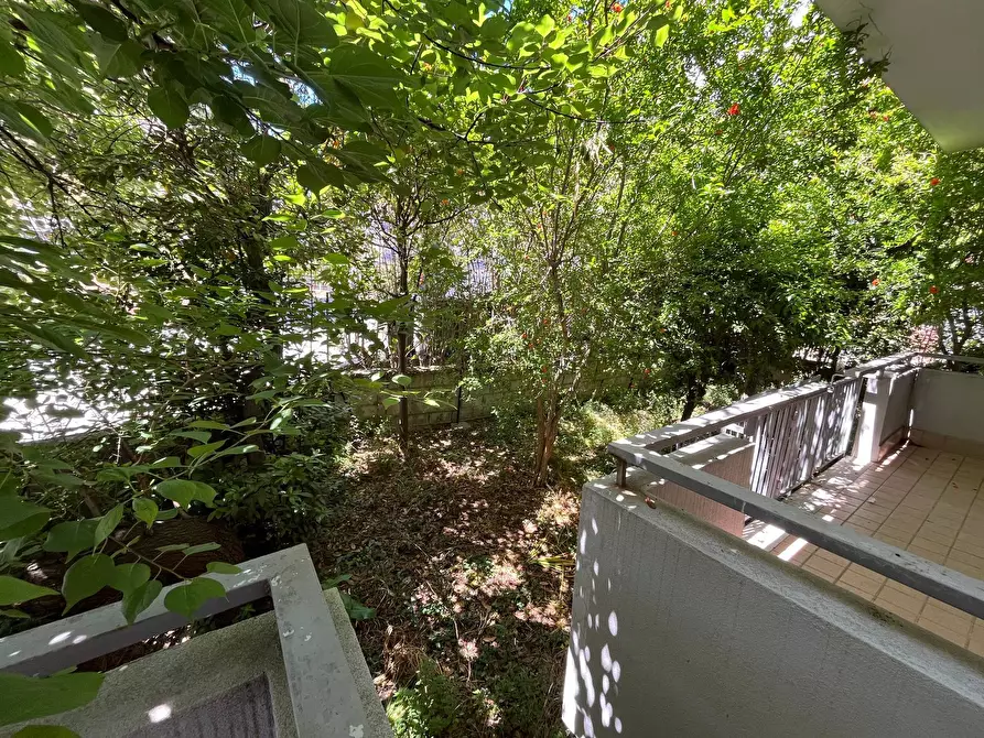 Immagine 3 di Locale commerciale in affitto  in VIA DEI CONTI RICCI a Vasto