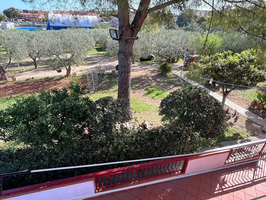 Immagine 11 di Villa in vendita  in via San Sisto a Vasto