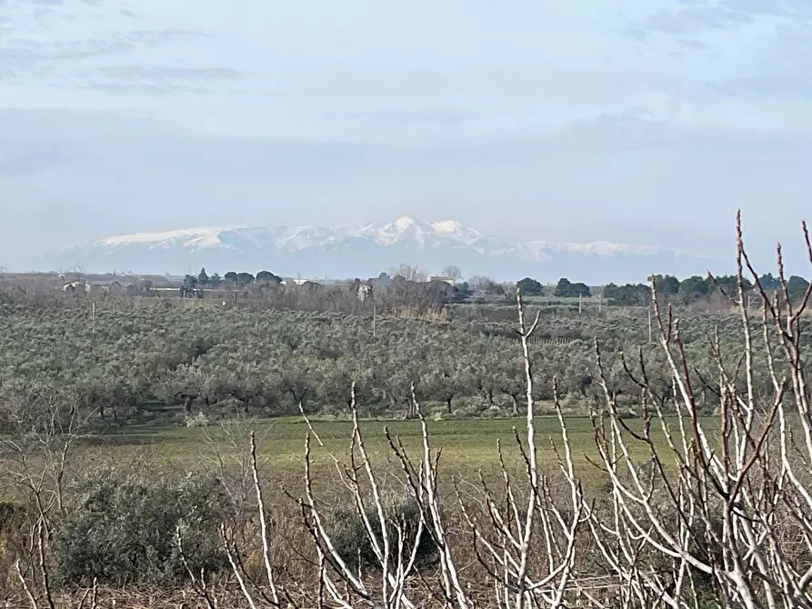 Immagine 4 di Villa in vendita  in VIA OSCA a Vasto