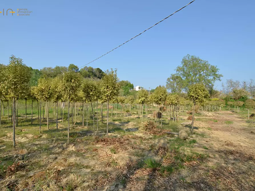 Immagine 28 di Casa indipendente in vendita  in contrada Menocchia a Montefiore Dell'aso