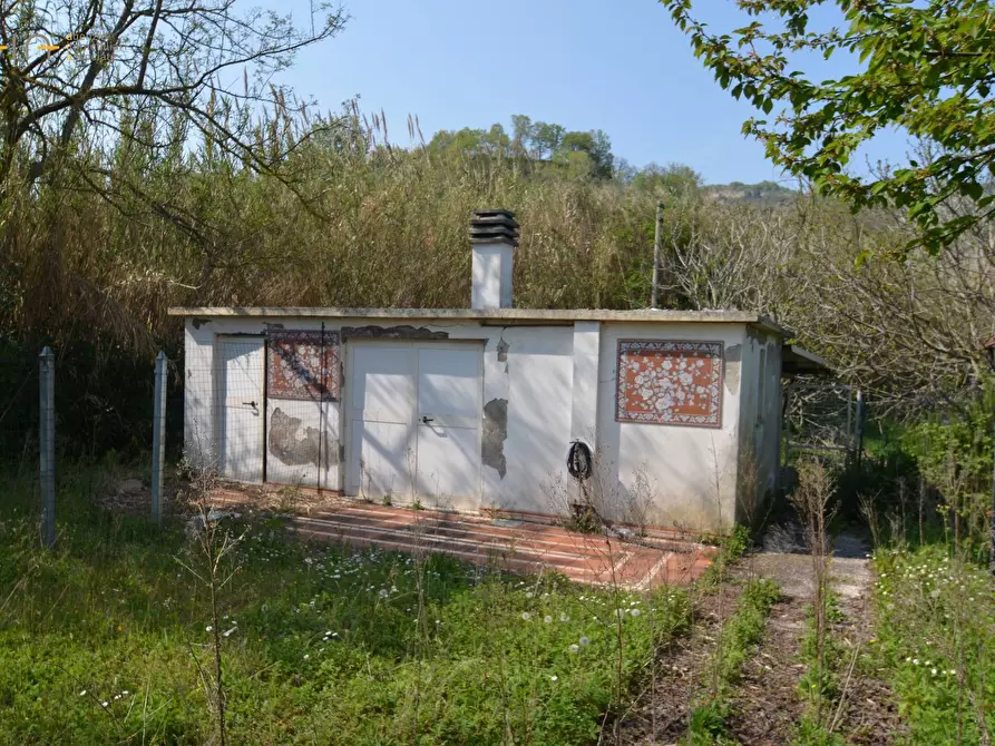 Immagine 3 di Casa indipendente in vendita  in contrada Menocchia a Montefiore Dell'aso