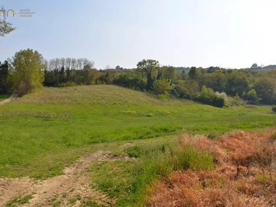 Immagine 25 di Casa indipendente in vendita  in contrada Menocchia a Montefiore Dell'aso