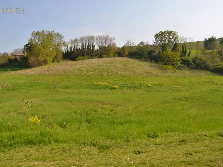 Immagine 26 di Casa indipendente in vendita  in contrada Menocchia a Montefiore Dell'aso