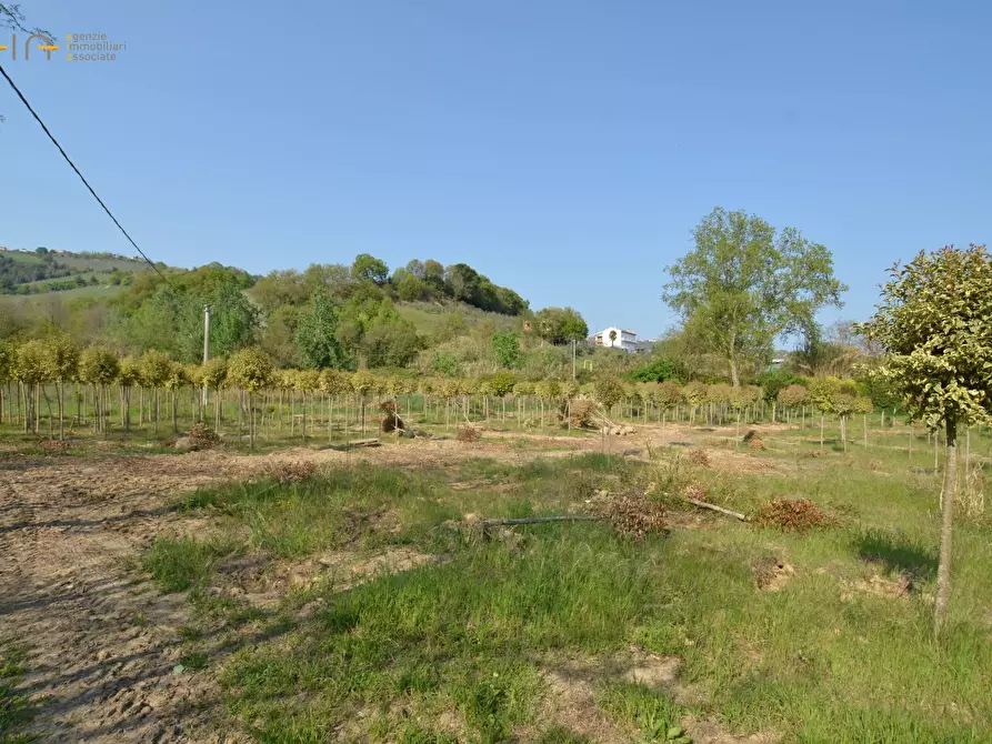 Immagine 27 di Casa indipendente in vendita  in contrada Menocchia a Montefiore Dell'aso