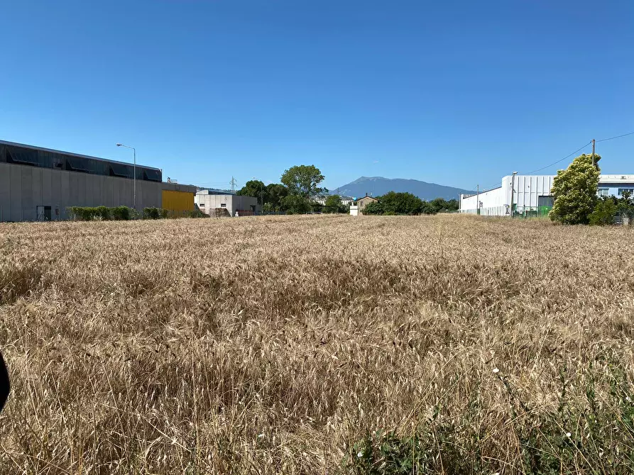 Immagine 1 di Terreno industriale in vendita  a Monsampolo Del Tronto