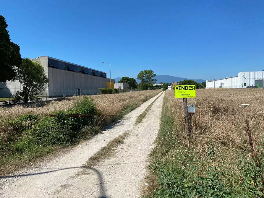 Immagine 5 di Terreno industriale in vendita  a Monsampolo Del Tronto